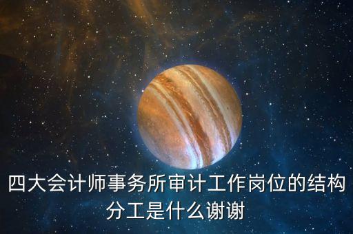 四大審計是做什么的，四大會計師事務(wù)所審計工作崗位的結(jié)構(gòu)分工是什么謝謝