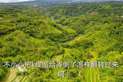 股票k線圖翻轉(zhuǎn)按什么鍵，電腦上股票k線圖怎么才能往前翻
