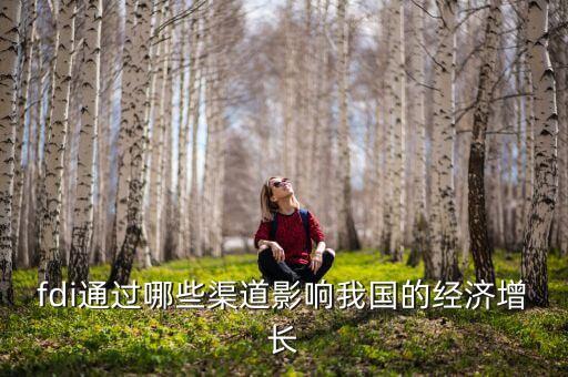 服務(wù)業(yè)fdi是什么意思，簡(jiǎn)述國(guó)際服務(wù)貿(mào)易的特征