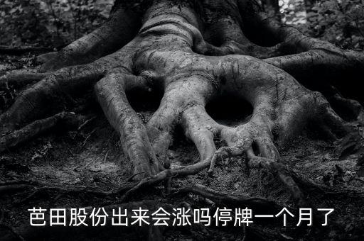 芭田股份出來會漲嗎停牌一個月了