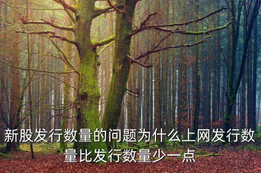 新股發(fā)行數(shù)量的問題為什么上網(wǎng)發(fā)行數(shù)量比發(fā)行數(shù)量少一點