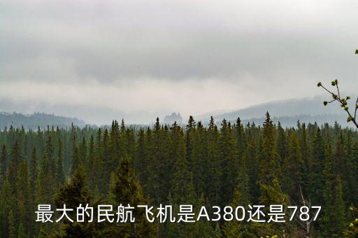 我國(guó)民航什么飛機(jī)最大，最大的民航飛機(jī)是A380還是787