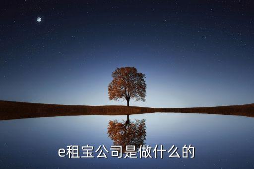 e租寶干什么的，e租寶公司是做什么的