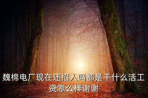 魏棉電廠現(xiàn)在還招人嗎都是干什么活工資怎么樣謝謝