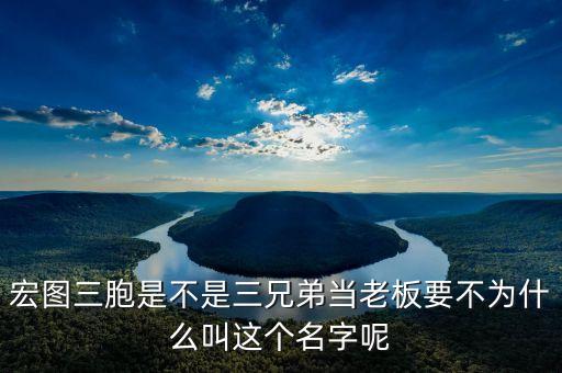 宏圖三胞是不是三兄弟當(dāng)老板要不為什么叫這個(gè)名字呢