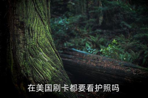 境外用信用卡要護照是核查什么，境外使用信用卡必須提供護照嗎