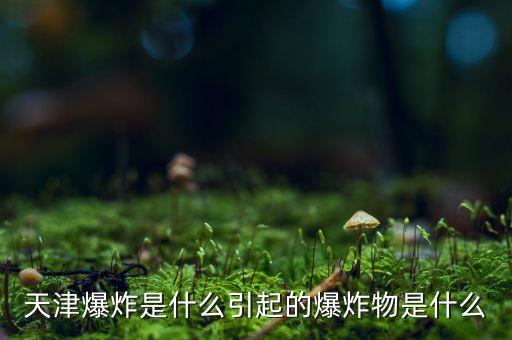 天津爆炸是什么，天津爆炸是什么東西爆炸了