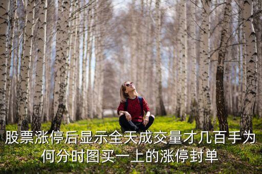 封單少10萬手什么意思，逾29萬手封單封住跌停是什么意思