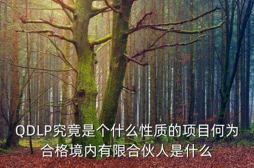 qdlp計(jì)劃是什么意思，QDLP究竟是個(gè)什么性質(zhì)的項(xiàng)目何為合格境內(nèi)有限合伙人是什么