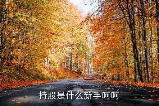 持股是什么新手呵呵