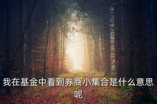 什么是券商小集合，什么叫券商集合理財證券業(yè)務