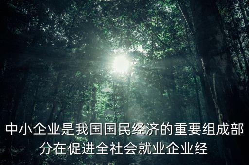中小微企業(yè)是國(guó)民經(jīng)濟(jì)的什么，中小企業(yè)是我國(guó)國(guó)民經(jīng)濟(jì)的重要組成部分在促進(jìn)全社會(huì)就業(yè)企業(yè)經(jīng)
