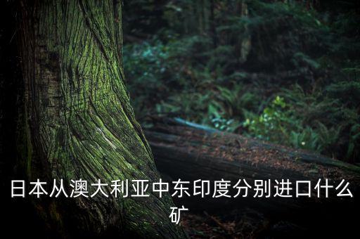 日本從澳大利亞中東印度分別進(jìn)口什么礦