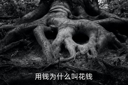 用錢為什么叫花錢