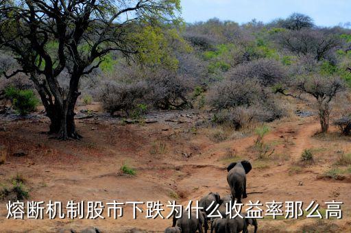 熔斷機制股市下跌為什么收益率那么高