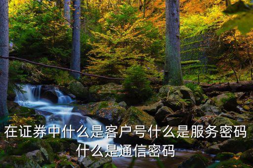在證券中什么是客戶(hù)號(hào)什么是服務(wù)密碼什么是通信密碼