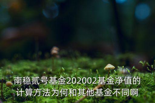 南穩(wěn)二號為什么要分紅，南穩(wěn)貳號基金202002基金凈值的計算方法為何和其他基金不同啊
