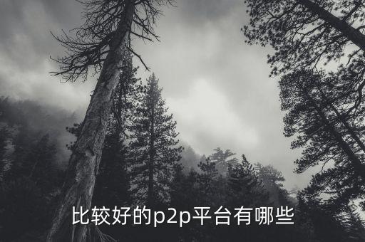 什么p2p平臺比較靠譜，請問國內(nèi)P2P平臺哪家比較安全可靠點(diǎn)想了解下