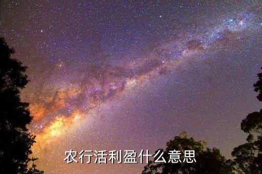 活利寶是什么，農行活利盈什么意思