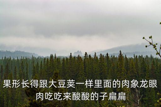 果形長得跟大豆莢一樣里面的肉象龍眼肉吃吃來酸酸的子扁扁