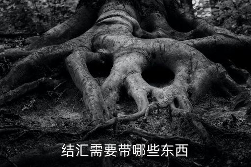 結(jié)匯需要帶哪些東西