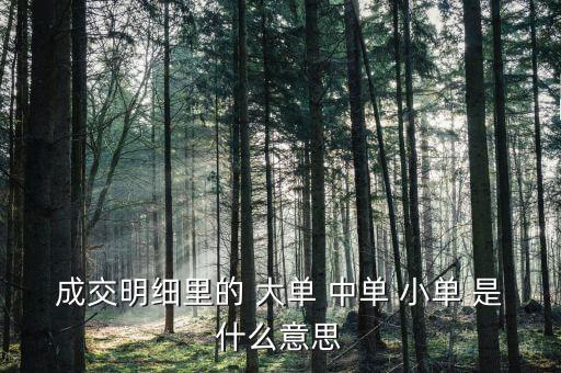 成交明細(xì)里的 大單 中單 小單 是什么意思