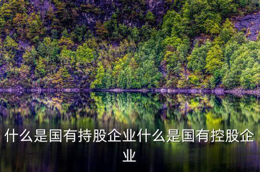 國開持股是什么意思，持股是什么新手呵呵