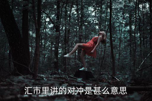 匯市里講的對(duì)沖是甚么意思