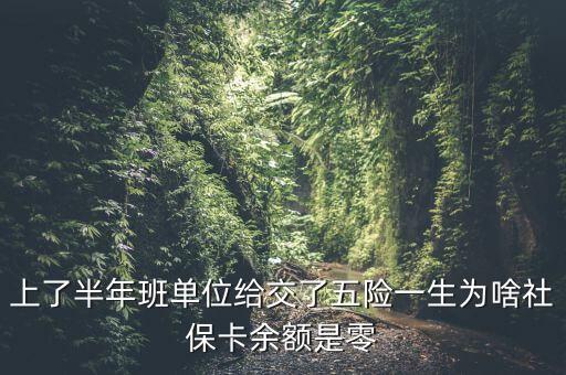 上了半年班單位給交了五險(xiǎn)一生為啥社?？ㄓ囝~是零