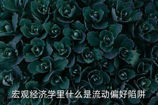 什么是流動(dòng)性偏好陷阱，什么是流動(dòng)偏好陷阱宏觀經(jīng)濟(jì)學(xué)