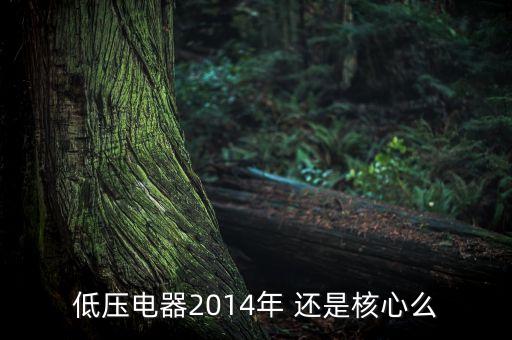 低壓電器2014年 還是核心么