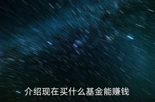 湖南目前什么基金賺錢，現(xiàn)在買哪個基金賺錢