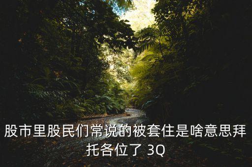 炒股被套是什么意思，炒股人所說的 被套是什么意思