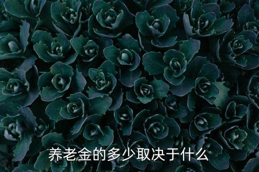 養(yǎng)老金的多少與什么相關，養(yǎng)老金的多少取決于什么