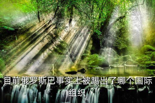 目前俄羅斯已事實(shí)上被踢出了哪個(gè)國際組織