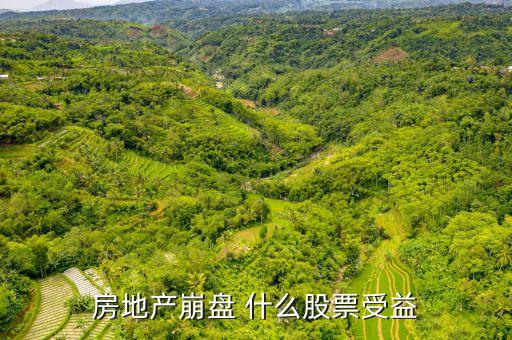 崩盤時(shí)持什么股，樓市崩盤前做什么投資比較好