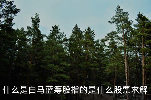 什么是白馬藍籌股，什么是白馬藍籌股