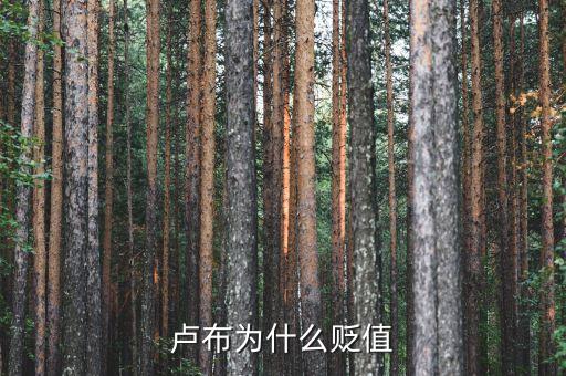 什么原因造成盧布貶值，盧布為什么貶值
