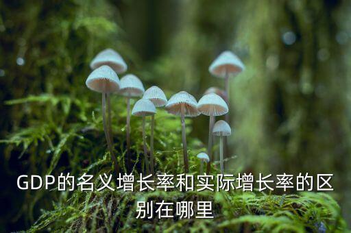什么是gdp實(shí)際增長(zhǎng)率，GDP的名義增長(zhǎng)率和實(shí)際增長(zhǎng)率的區(qū)別在哪里