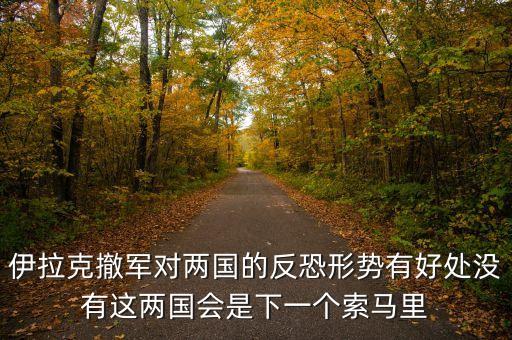 伊拉克撤軍對(duì)兩國的反恐形勢(shì)有好處沒有這兩國會(huì)是下一個(gè)索馬里