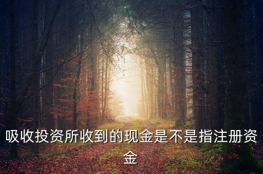 吸收投資所收到的現(xiàn)金是不是指注冊資金