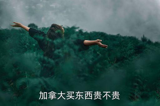 加拿大買東西貴不貴