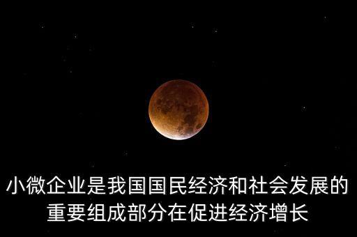 小微企業(yè)是我國國民經(jīng)濟(jì)和社會發(fā)展的重要組成部分在促進(jìn)經(jīng)濟(jì)增長