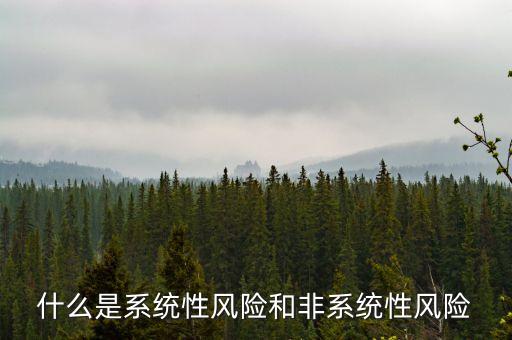 什么是系統(tǒng)性風(fēng)險(xiǎn)和非系統(tǒng)性風(fēng)險(xiǎn)
