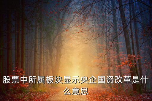 什么是國(guó)資改革，股票中所屬板塊顯示央企國(guó)資改革是什么意思