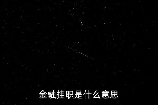 金融掛職是什么意思