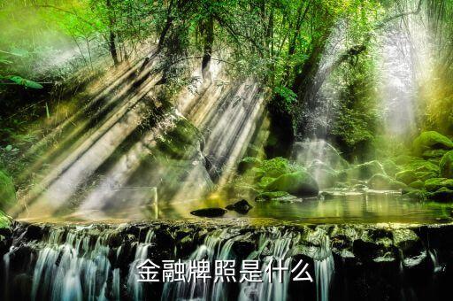 擔(dān)保公司的金融牌照是什么樣子的，金融牌照是什么