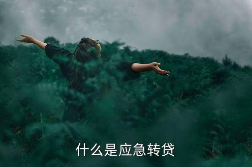 什么是應急轉貸