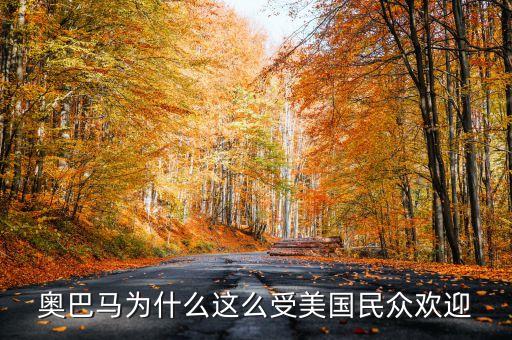 奧巴馬為什么受歡迎，為什么奧巴馬會受到青年人的親睞