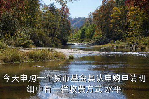 基金收費顯示平均收費是什么意思，今天申購一個貨幣基金其認(rèn)申購申請明細(xì)中有一欄收費方式 水平